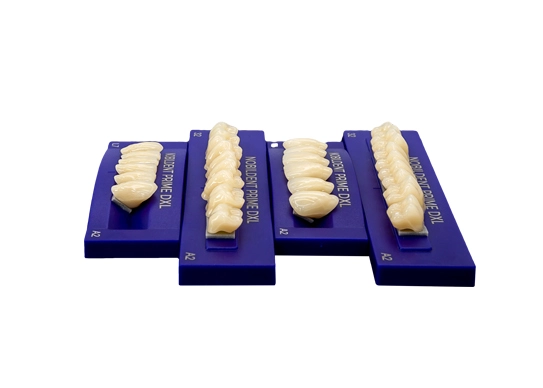 acrylic denture teeth